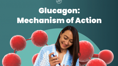 glucagon-mechanism-of-action:-key-to-blood-sugar-control