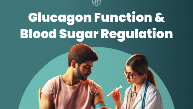 understanding-glucagon-function-in-blood-sugar-regulation