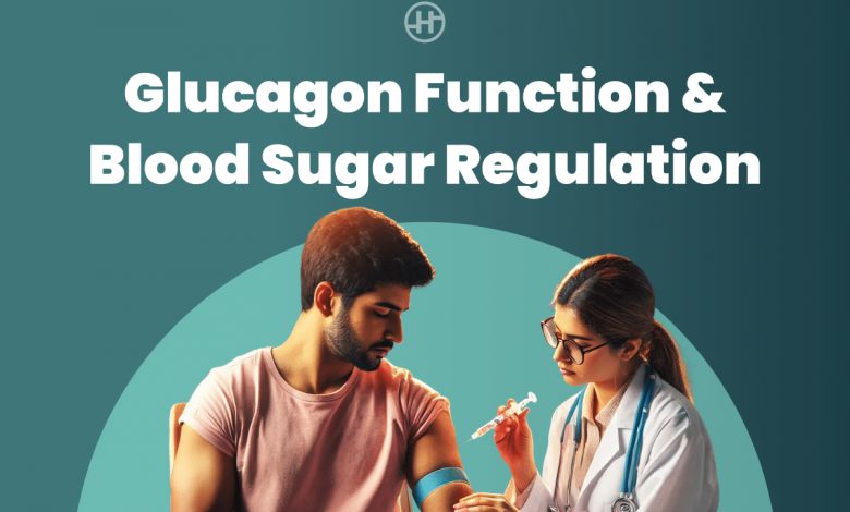 understanding-glucagon-function-in-blood-sugar-regulation